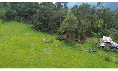 Venta finca En el Vino