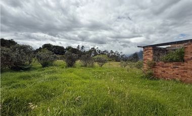 Venta finca En el Vino