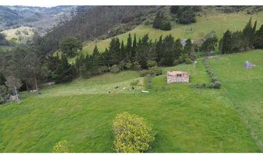Venta finca En el Vino
