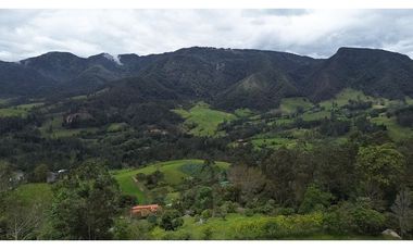 Venta finca En el Vino