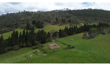 Venta finca En el Vino