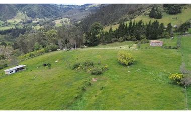 Venta finca En el Vino