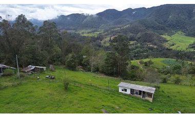 Venta finca En el Vino