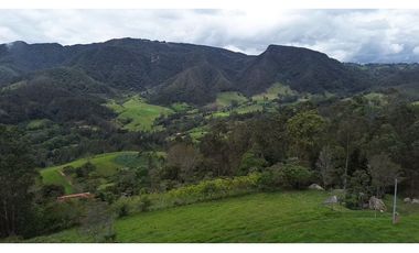 Venta finca En el Vino