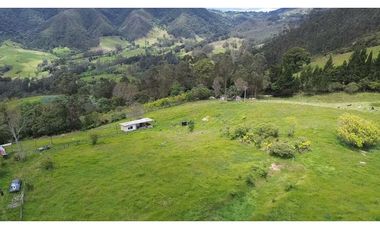 Venta finca En el Vino