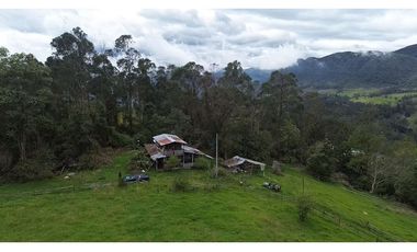 Venta finca En el Vino