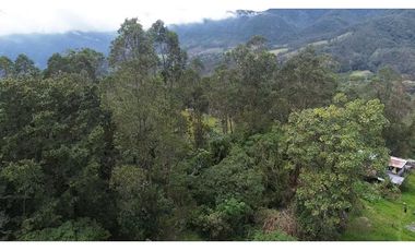 Venta finca En el Vino