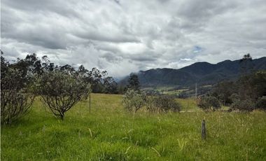Venta finca En el Vino