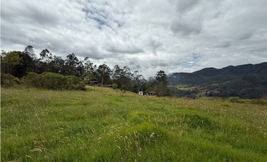 Venta finca En el Vino