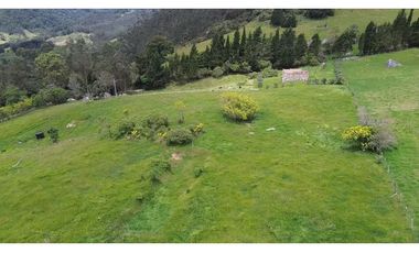 Venta finca En el Vino