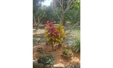 Acsi 1237 Venta de Finca en Chinauta Fusagasugá