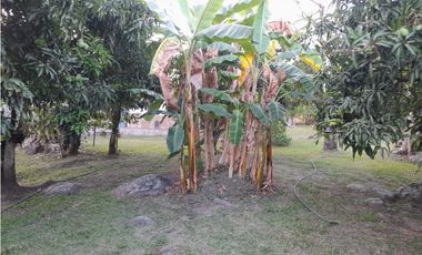 Acsi 1237 Venta de Finca en Chinauta Fusagasugá