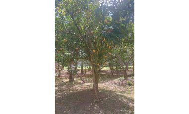 Acsi 1237 Venta de Finca en Chinauta Fusagasugá