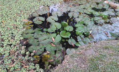 Acsi 1237 Venta de Finca en Chinauta Fusagasugá