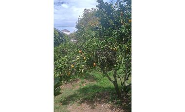 Acsi 1237 Venta de Finca en Chinauta Fusagasugá