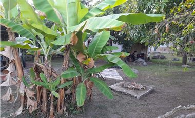 Acsi 1237 Venta de Finca en Chinauta Fusagasugá