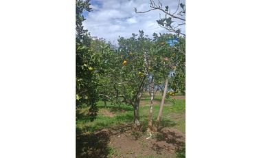 Acsi 1237 Venta de Finca en Chinauta Fusagasugá