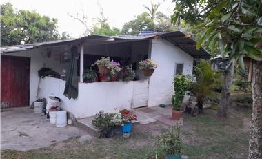 Acsi 1237 Venta de Finca en Chinauta Fusagasugá