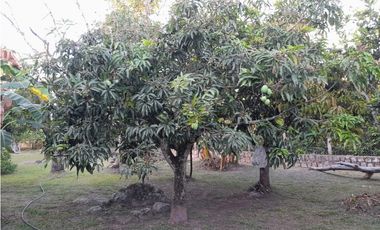 Acsi 1237 Venta de Finca en Chinauta Fusagasugá