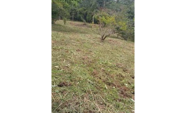 EXCELENTE LOTE EN VENTA - 3515m2- ICONONZO TOLIMA