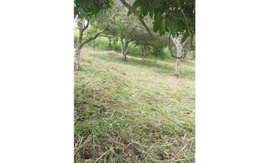 EXCELENTE LOTE EN VENTA - 3515m2- ICONONZO TOLIMA