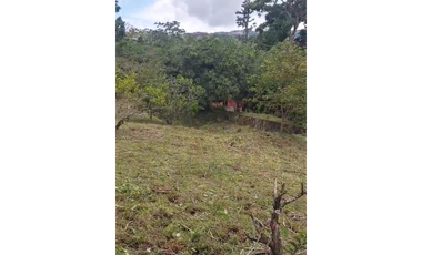 EXCELENTE LOTE EN VENTA - 3515m2- ICONONZO TOLIMA