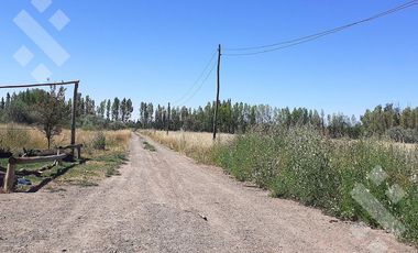 En Venta | Chacra en Allen | 6Has con Acceso a Ruta 65