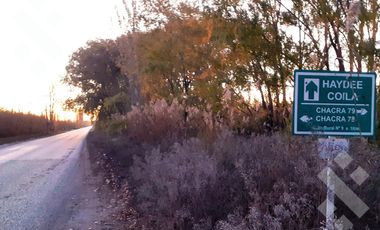 En Venta | Chacra en Allen | 6Has con Acceso a Ruta 65