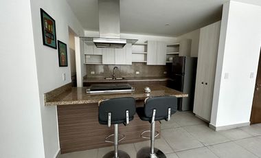 Departamento en Renta, Monterrey, Nuevo Leon
