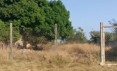 OAXACA VENTA HERMOSO TERRENO ZONA DE LACHIGOLO