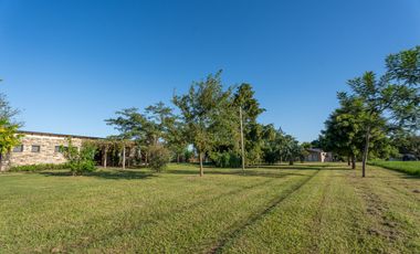 â¢	FINCA PREMIUM / DESVIO ARIJON / DE PELICULA! /