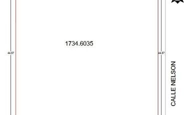 TERRENO EN RENTA AV. VALLARTA ESQUINA NELSON