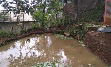 Di jual butuh Tanah dan pemancingan ikan aktif