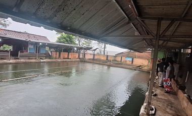 Di jual butuh Tanah dan pemancingan ikan aktif