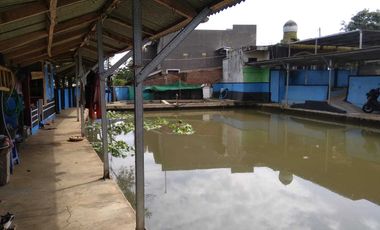 Di jual butuh Tanah dan pemancingan ikan aktif