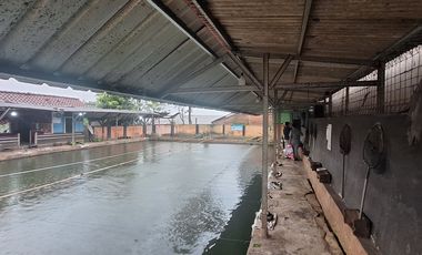 Di jual butuh Tanah dan pemancingan ikan aktif