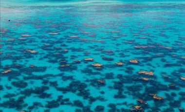 Paradisiaco Lote Frente Al Mar En Providencia: Inversión úNica Y Oportunidad De Futuro