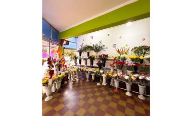 EN VENTA DOS CASAS Y DOS LOCALES COMERCIALES EN CALLE PERÚ