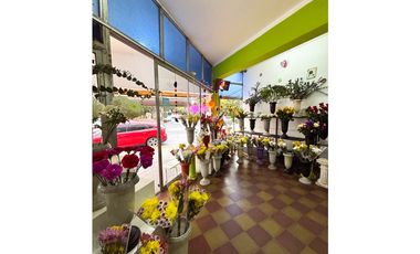 EN VENTA DOS CASAS Y DOS LOCALES COMERCIALES EN CALLE PERÚ