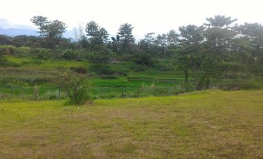 Tanah Matang Siap Bangun Kota Baru Parahyangan