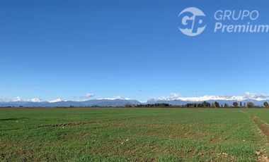 Parcela en Venta en Camino guadantún sin número.