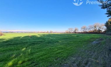 Parcela en Venta en Camino guadantún sin número.