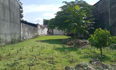 DISEWAKAN TANAH AREA KOMERSIL BELAKANG RUKO JL. RAYA PRAMBON