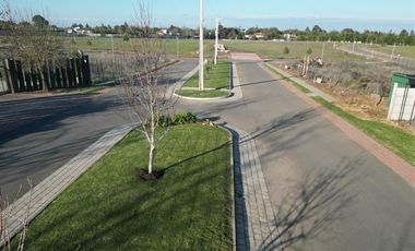 Sitio en Venta en ALTO VERDE - ALTO LAS CRUCES