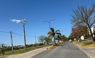 LOTES ZONA BOULEVARD DE ORO VERDE EXCELENTE UBICACION