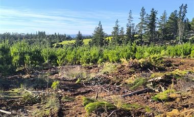 Parcela en Venta en I-180