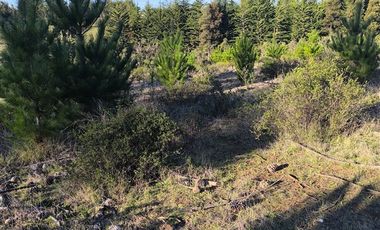 Parcela en Venta en I-180