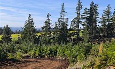 Parcela en Venta en I-180