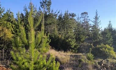 Parcela en Venta en I-180