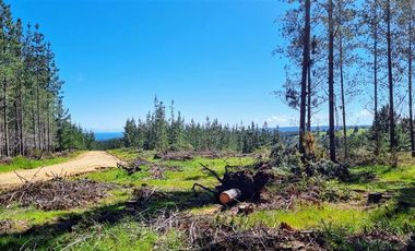 Parcela en Venta en I-180